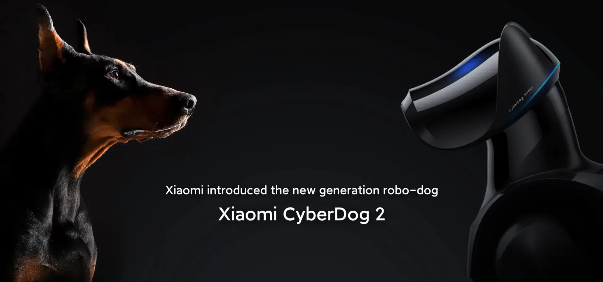 Xiaomi Cyberdog 2: A Glimpse into the Future of Robotics